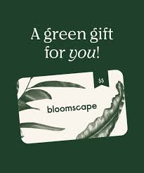 What happens if my friend lives in another country? Buy E Gift Cards Bloomscape