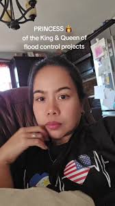 Flood Control Meme Girl