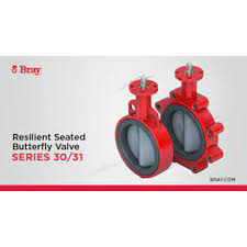 Bray 30/31 Series Butterfly Valve | FloSource