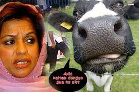 Lembu punya susu sapi dapat nama. Lembu Punya Susu Sapi Dapat Nama Posts Facebook