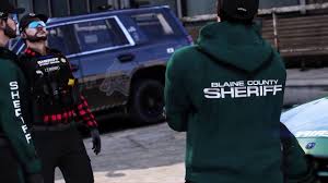 So, i am newly customer of the fivem network. Bcso Uniform Megapack Thinlinesanctuary