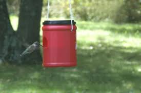 Attracting hummingbirds and butterflies to your garden can be easier than you think! 16 Diy Homemade Hummingbird Feeder Ideas To Attract Them To Your Home