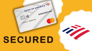 Credit cards are great tools for building your credit history, and you don't need to carry an unpaid balance to do so. How To Setup Autopay For Bank Of America Credit Cards Youtube