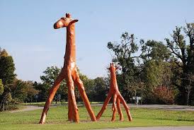 Die Giraffen Am Parkplatz Des Buchheim Museums Radtour Starnberger See Rad