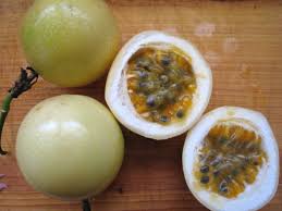 Fruits De La Passion Les Corion A Tahiti Fruit De La Passion Fruits Tahiti
