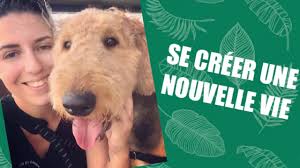 Métier le responsable de 'collection' choisit les animaux qui peuvent cohabiter, doivent se reproduire entre eux, quels individus échanger, quelles espèces il est aussi responsable du personnel et gère les relations avec les autres parcs. Comment Changer De Metier Travailler Avec Les Animaux Youtube