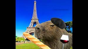 We did not find results for: Carpincho Frances Meme Youtube