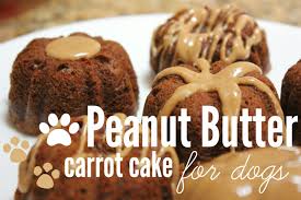 Products included in this article were carefully and independently selected by the happy puppy. How To Make Peanut Butter Carrot Cake For Dogs Rachel Republic Dog Birthday Cake Recipe Dog Cake Recipes Dog Birthday Cake Easy