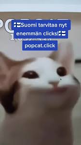 The description of popcat meme app. Pop Cat Meme Remix Created By Karen Killer Pop Cat Popular Songs On Tiktok