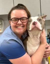 Veterinarian In Gahanna, OH 43230