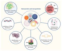 Image result for Antimicrobial Agent