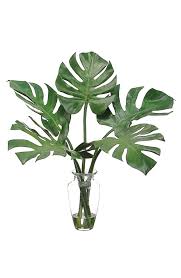 Free Shipping And Returns On Allstate Faux Monstera Leaves In Glass Vase At Nordstrom Com Housed In A Classic Glass Vase T Monstera Leaf Plant Decor Monstera