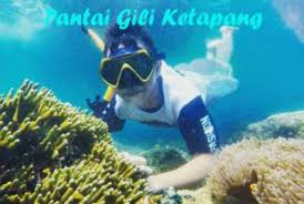 Mulai dari gambar alam, gunung, pantai, laut, sungai yang sangat indah, mudah digambar, simple, dll. Wisata Pantai Gili Ketapang Menyimpan Pemandangan Laut Yang Begitu Indah Pengunjung Bisa Snorkel Fotografia De Gili Ketapang Probolinggo Tripadvisor