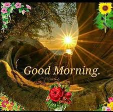 Zindagi good morning shayari in hindi. 818 Nature Good Morning Images Photos Flowers Pictures