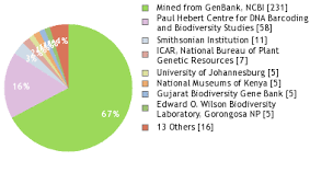 Image result for Cucumis kalahariensis