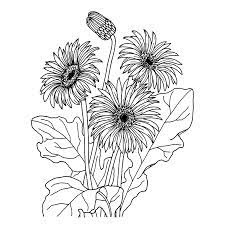 Check spelling or type a new query. 26 Ideeen Over Paardenbloem Tekening Paardenbloem Tekening Paardenbloem Bloemen Tekenen