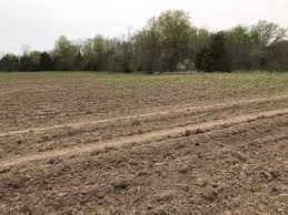 Embree Cemetery in Missouri
