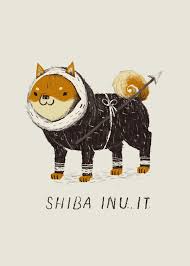 Shiba Inuit Poster Print By Louis Roskosch Displate Shiba Inu Shiba Art