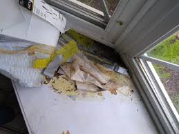 The bay is about 7.5ft long and 1.25ft deep. Rotted Sill On Bay Window Doityourself Com Community Forums
