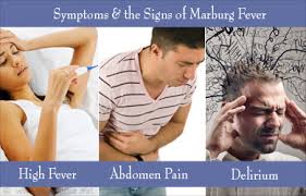 Mvd is a viral hemorrhagic fever (vhf), and the clinical symptoms are indistinguishable from ebola virus disease (evd). Marburg Virus Disease Causes Symptoms Diagnosis Treatment Prevention