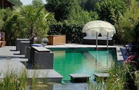 30 Breathtaking Natural Swimming Pools By Biotop Naturschwimmbecken Naturschwimmbader Schwimmteich