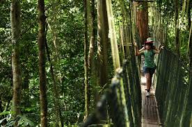 That are less adventurous prefer sightseeing, bird watching. Official Portal Of Tourism Pahang Kuala Tahan