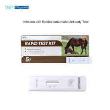 Image result for Glanders