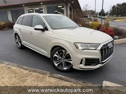 Image result for Vicuna Beige 2022 SQ7