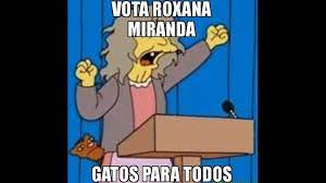 Memes chilenos, santiago pero santiago no es chile. Divertidos Memes Por Elecciones En Chile Rpp Noticias