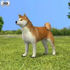 Akita Inu 3d Model Max C4d Obj 3ds Fbx Lwo Stl 3dexport Com By Humster3d Loup Dessin Dessin Loup