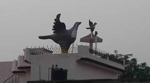 You get a sufficient water tank, inverter compatibility, low power consumption, compact design, variable speed fan, and effective cooling, at a these air coolers have latest technologies and control systems that let you enjoy the cool breeze in hot indian weather. Creativity Stands Tall On Rooftops