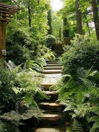 Lush I Love Lush Shade Garden Woodland Garden Beautiful Gardens