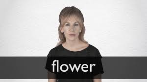 That's not how this works. How To Pronounce Flower In British English Youtube