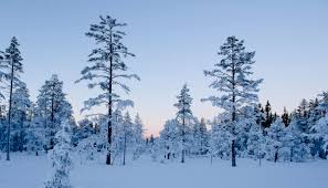 For å få tilgang må du identifisere deg med minid. Skiloyper I Ringerike Kommune Tour Suggestions Norway