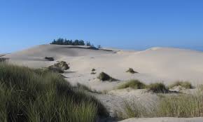 Showed up on a thursday hoping to get a good spot. How To Experience The Many Faces Of Oregon Blog
