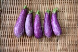 パープル クララ