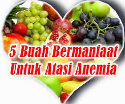 Jika kamu pernah berkeliling indonesia, minimal di kota berbeda, pasti kamu menjumpai perbedaan makanan di tiap wilayah. Biblioteca De Solfa Syllable Universidad Complutense De Madrid Makanan Untuk Ibu Hamil Anemia