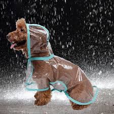 Best Waterproof Dog Raincoat Reviews Buyers Guide 2019