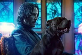Chapter 3 ended on something of a cliffhanger, with a. John Wick 5 Is Coming And Will Be Filmed Alongside John Wick 4 Radio Times