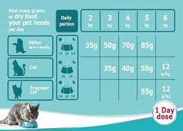 One brand may tell you to feed your cat 1/2 cup twice daily, while another recommends 1/4 cup three times daily. How Much Dried Food Should I Feed My Cat