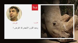 نشرت صحف عربية ومستخدمون لمواقع التواصل الاجتماعي ادعاء بأن وحيد القرن الأبيض الشمالي انقرض رسميًا، مرفَقًا بصورة صحيفة (عكاظ) السعودية نشرت الادعاء المشار إليه عبر موقع يوم السبت 5 حزيران/يونيو تحت عنوان انقراض وحيد القرن الأبيض الشمالي قالت. ÙˆØ­ÙŠØ¯ Ø§Ù„Ù‚Ø±Ù† Ø§Ù„Ø§Ø¨ÙŠØ¶ Ù‚Ø¯ Ø§Ù†Ù‚Ø±Ø¶ Ø§Ù„ØµØ¯Ù‰ Ù†Øª Movie Posters Poster Movies