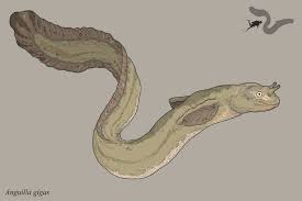 Loch Ness Monster By Darthmobius On Deviantart Loch Ness Monster Monster Monster Hunter