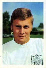 Terry Parmenter Cards