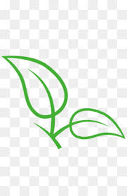 Vector4free adalah situs yang berfokus memberikan gambar vektor. White Tea Png White Tea Flowers White Tea Vector White Tea Information White Tea Candles Cleanpng Kisspng