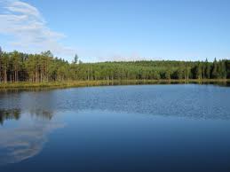 Möjlighetsskapande struktur för kvinnor och mäns företagande. Angeln In Bergslagen Schweden Bergslagen