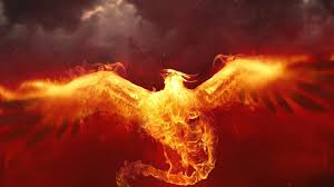Phoenix birds hd wallpaper posted in animal wallpapers category and wallpaper original resolution is 1920x1080 px. Desktop Phoenix Bird Wallpaper Apple Mac Wallpapers Tablet Amazing High Definition Best Wallpaper Ever Samsung Wallpapers Free 1920x1080 Full Hd Wallpapers