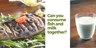 Consuming Fish And Milk Together Doesn T Cause Vitiligo When cooking fish in milk, the key is to poach the fish.