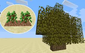 A Version Of A Dark Oak Tree Using Only One Sapling Should Be Added. :  R/Minecraftsuggestions
