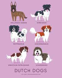 看漫畫認識世界狗 台灣土狗q翻啦 即時新聞 20140925 蘋果日報 dog breeds dog drawing dog print art