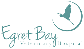 Providing expert care since 1992. Veterinarian In League City Tx Egret Bay Veterinary Hospital
